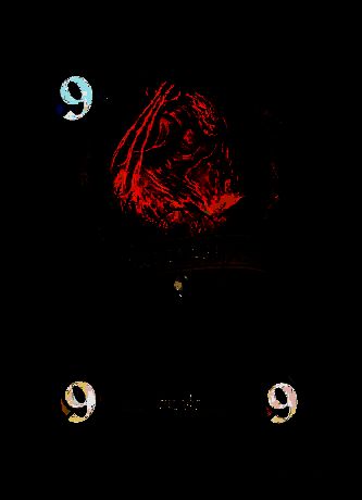 毁灭化身卡牌图片