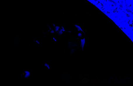 星云狮拨动水晶球送星之砂画面