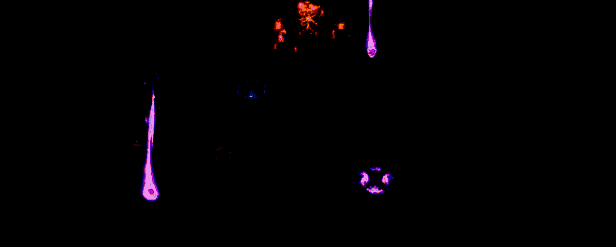 咒运魔骰被虚空吞噬的世界画面