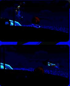 霞光鱼亲密互动图