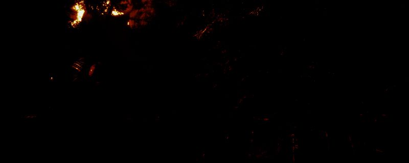 光与影33号远征队相关游戏画面