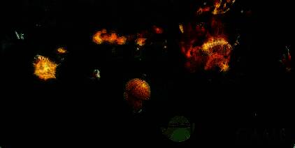 神兽枫洛可激发二阶技能展示图片