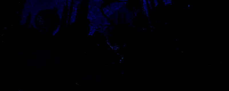 《光与影：33号远征队》相关画面