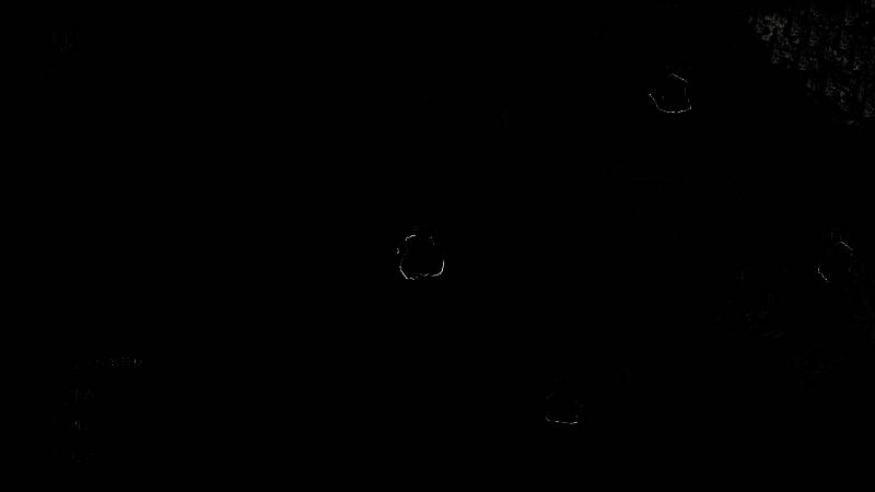 《光与影：33号远征队》相关画面