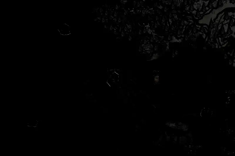 《光与影：33号远征队》相关图片3