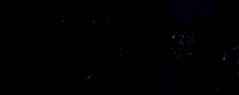 《光与影：33号远征队》相关画面