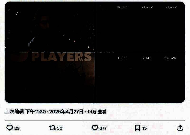 《光与影：33号远征队》相关画面4