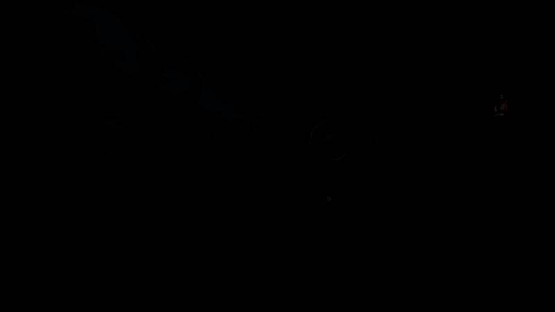 《光与影：33号远征队》相关图片7