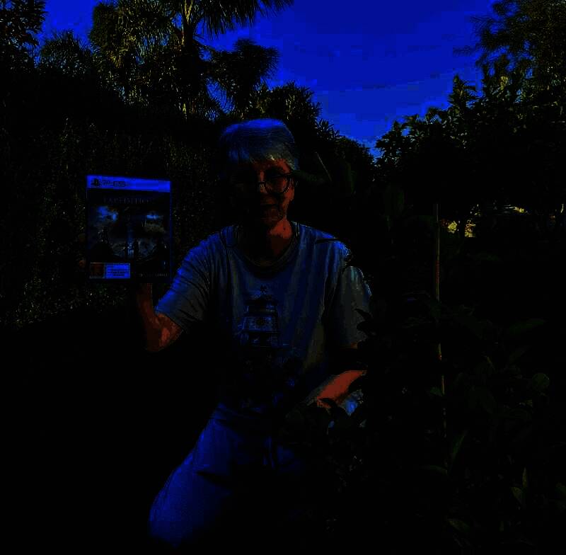 《光与影：33号远征队》相关图片8