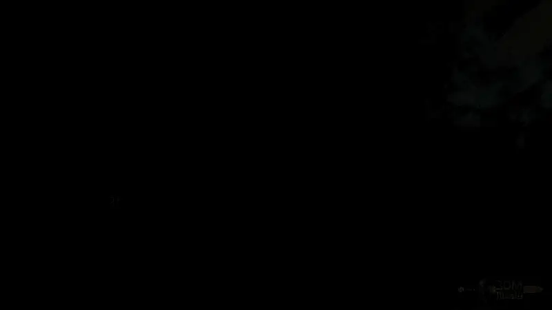 81号远征队日志内容相关图片