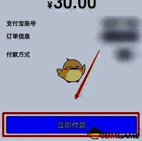 支付宝页面点击‘立即付款’