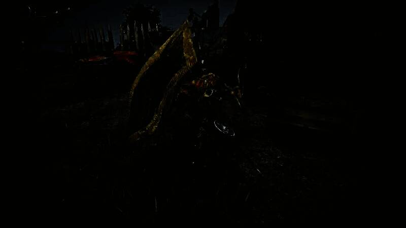 《艾尔登法环：黑夜君临》游戏画面9