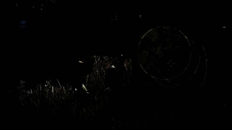 《艾尔登法环：黑夜君临》游戏画面11