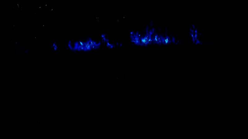 《艾尔登法环：黑夜君临》游戏画面15