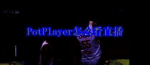 PotPlayer相关配图