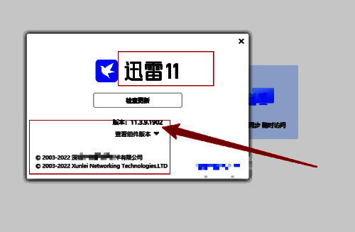 显示关于迅雷相关信息的界面图
