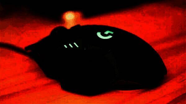 联系官方客服相关界面图片