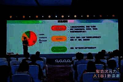 王骋翾先生分享二次元商品消费趋势相关画面