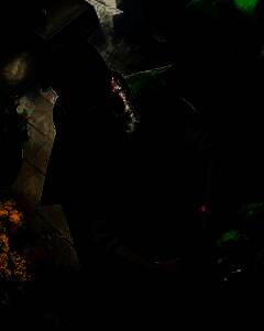 三国杀谋卢植隐迹山林皮肤图片