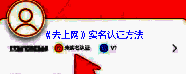 去上网 APP 实名认证相关页面示例图