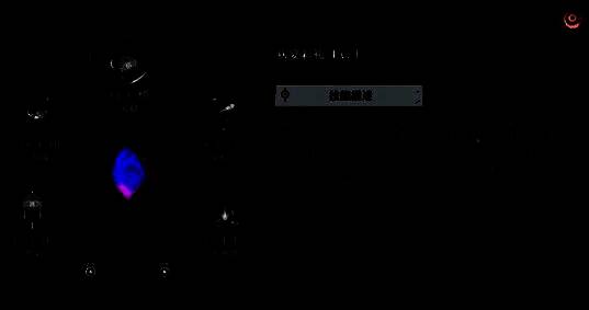 归龙潮珠砂天赋欢宴彩礼图片