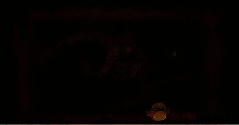 灵芝位置1的地图标识