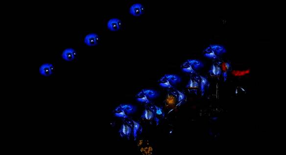 欢喜迎集会任务相关图片