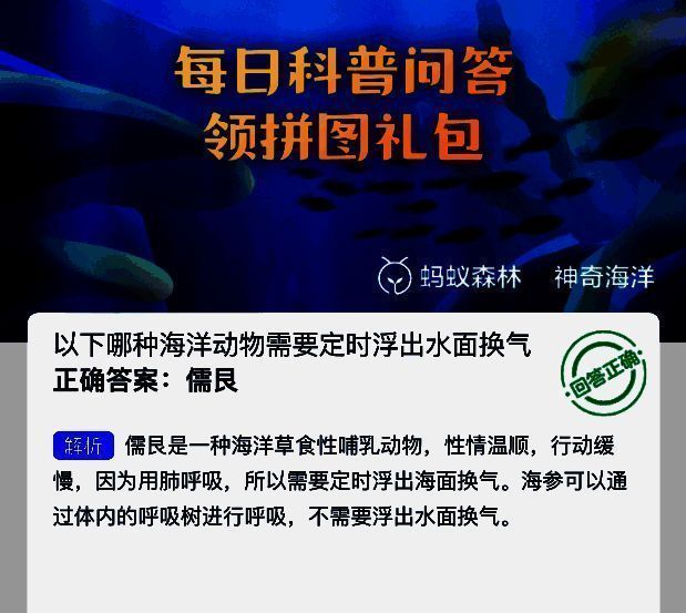 支付宝神奇海洋相关图片2