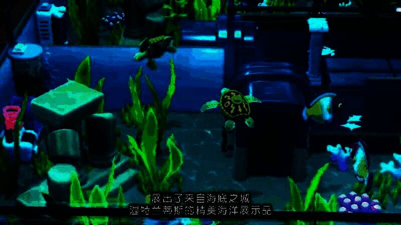 《双点博物馆》视频截图3