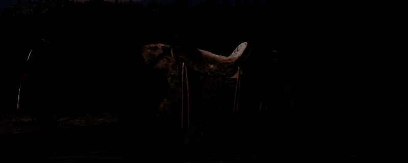 荒野大镖客2匈牙利混血马相关图片1