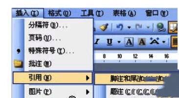 Word 2007 引用选项卡中的脚注和尾注功能界面