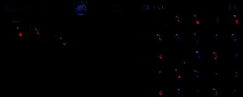 艾尔登法环黑夜君临执行者相关装备展示图