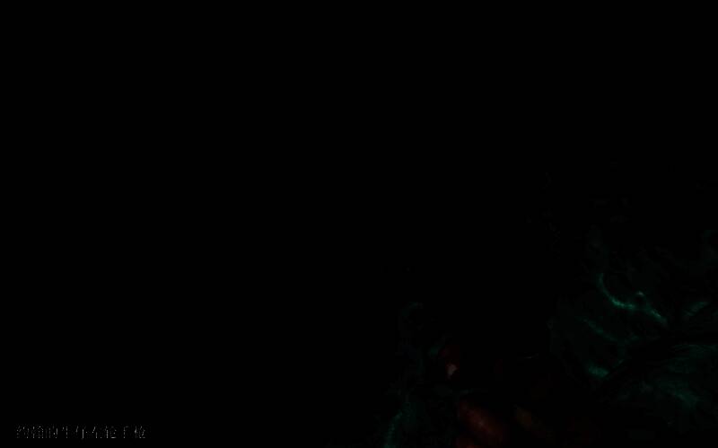 荒野大镖客2提前获得约翰左轮相关图片