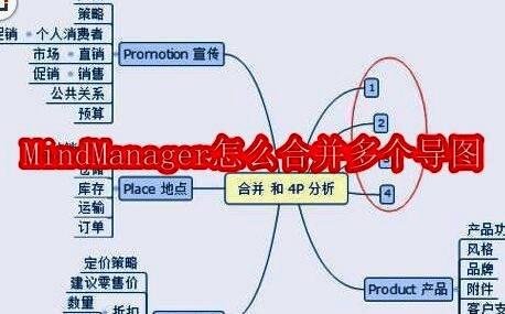 MindManager相关图片1