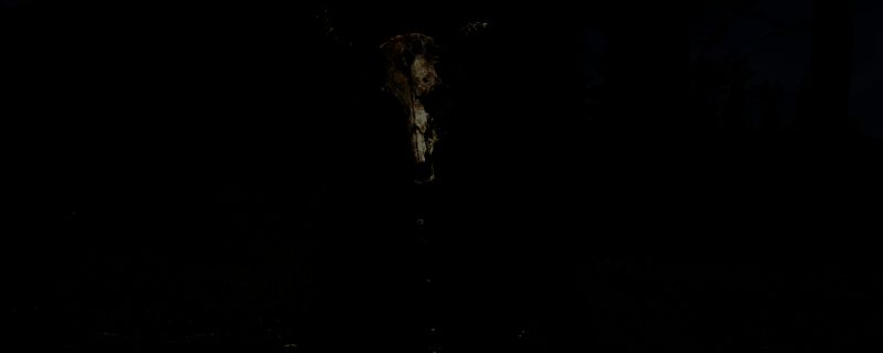 荒野大镖客2相关场景图片