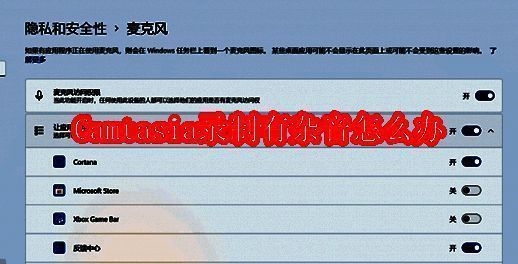 Camtasia录制界面示例图