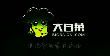 大白菜超级 U 盘启动制作工具相关图片