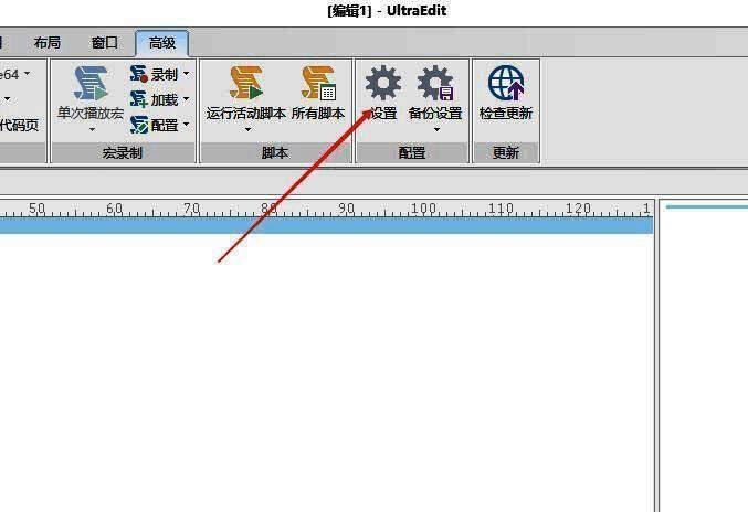 UltraEdit设置选项图片