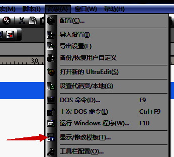 选中显示/修改模板选项的界面图