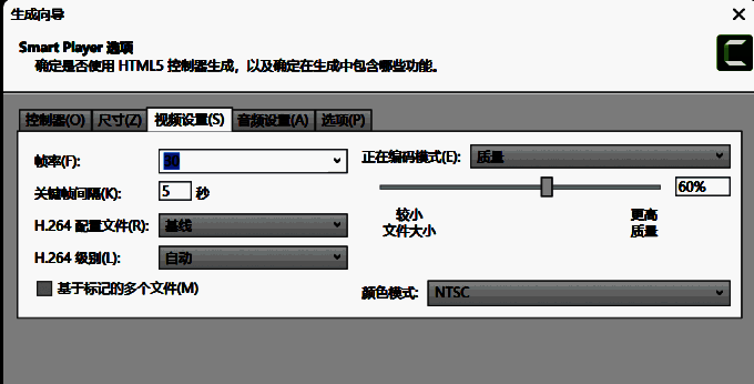生成向导视频设置图