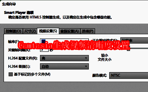 Camtasia相关展示图片