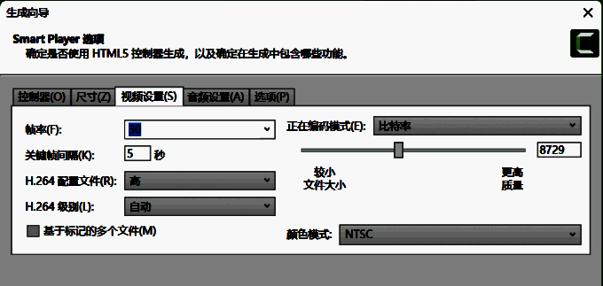 Camtasia视频设置选项界面图片