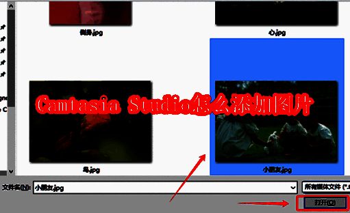 Camtasia Studio软件界面相关图片