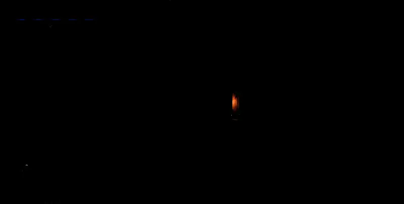 有大猩猩的通道场景图