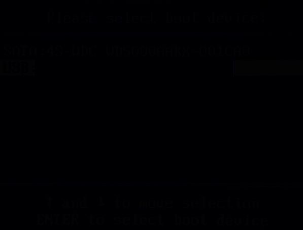 选择启动设备界面图