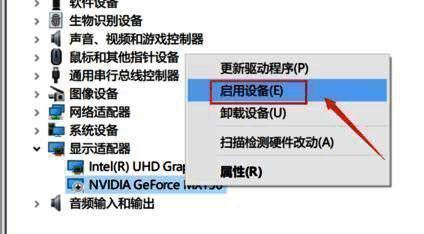 启动N卡设备界面图片