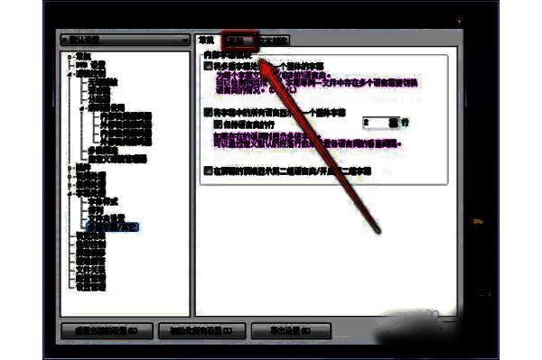 多重字幕/其他选项中高级选项卡的界面图片