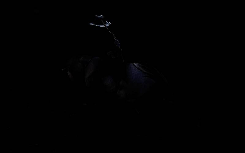 驯服成功后的安达卢西亚马