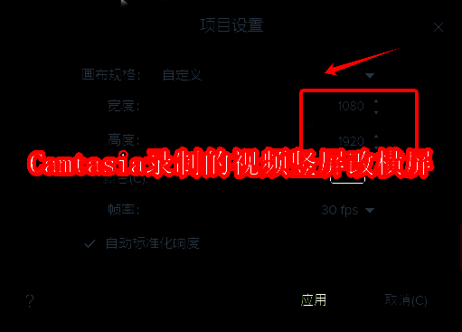Camtasia软件相关图片
