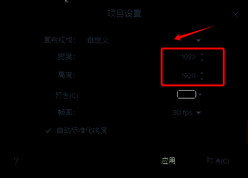 Camtasia软件画布规格自定义设置图片